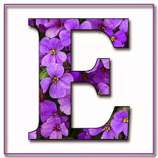 stylish e name dp